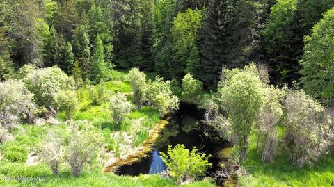 49975 Us-95, Naples, ID 83847 photo 12