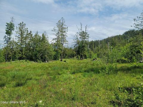 Nna Grouse Mountain Trail, Sagle, ID 83860