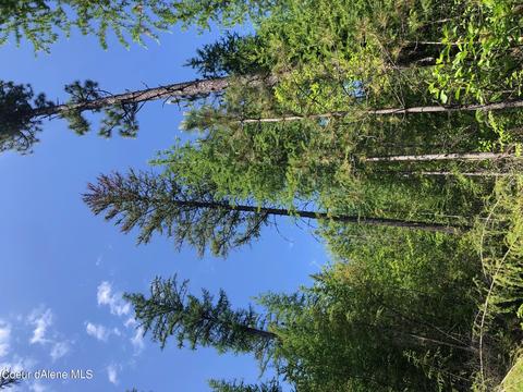 Nna Scott Lane, Sandpoint, ID 83864