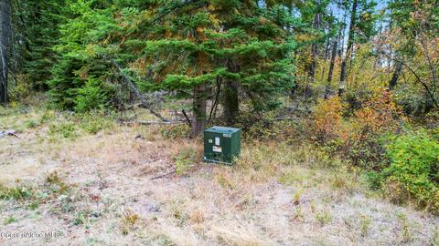 Tbd E Kurt Rd, Harrison, ID 83833 photo 19