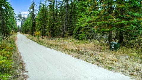 Tbd E Kurt Rd, Harrison, ID 83833 photo 20