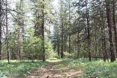 10 Hoodoo Mtn # A, Blanchard, ID 83804