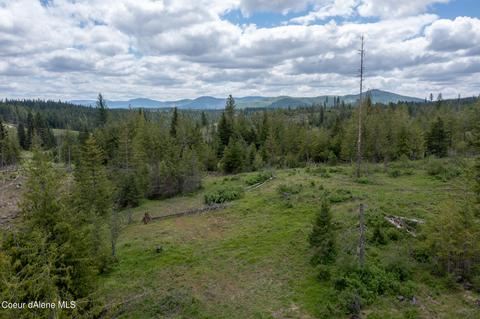 481 Trapper Loop, Saint Maries, ID 83861 photo 5
