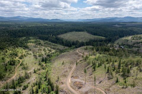 481 Trapper Loop, Saint Maries, ID 83861 photo 7