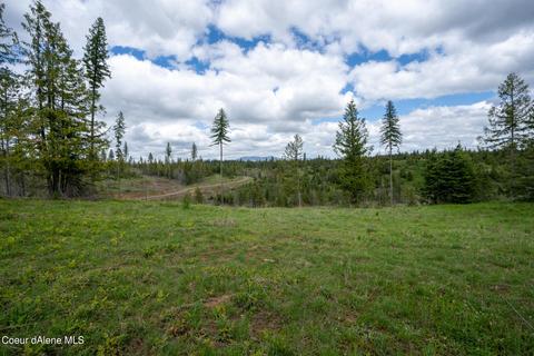 481 Trapper Loop, Saint Maries, ID 83861