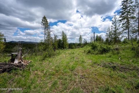 481 Trapper Loop, Saint Maries, ID 83861 photo 2
