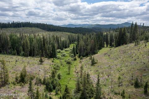 481 Trapper Loop, Saint Maries, ID 83861 photo 14