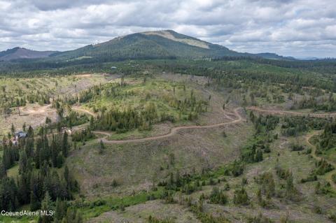 481 Trapper Loop, Saint Maries, ID 83861 photo 12