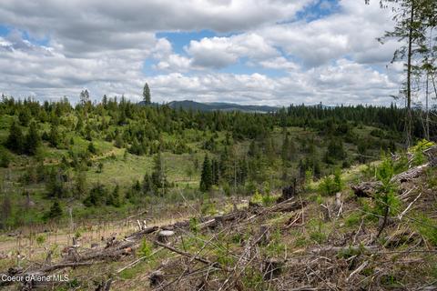 481 Trapper Loop, Saint Maries, ID 83861 photo 18