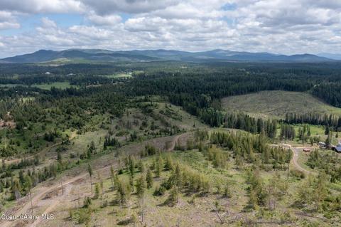 481 Trapper Loop, Saint Maries, ID 83861 photo 9