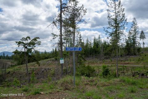 481 Trapper Loop, Saint Maries, ID 83861 photo 19