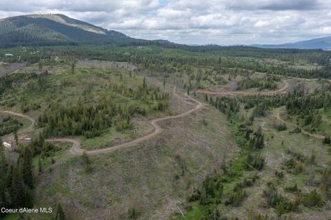 481 Trapper Loop, Saint Maries, ID 83861 photo 11