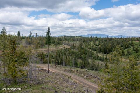 481 Trapper Loop, Saint Maries, ID 83861 photo 15