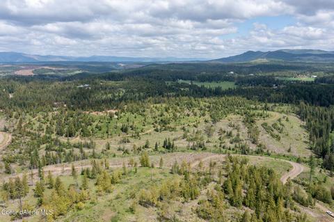 481 Trapper Loop, Saint Maries, ID 83861 photo 10