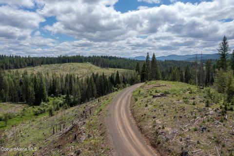 481 Trapper Loop, Saint Maries, ID 83861 photo 8