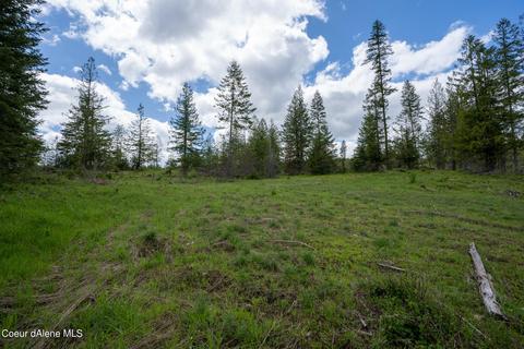 481 Trapper Loop, Saint Maries, ID 83861 photo 4