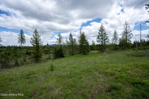 481 Trapper Loop, Saint Maries, ID 83861 photo 17