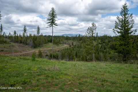 481 Trapper Loop, Saint Maries, ID 83861 photo 3