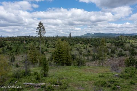 481 Trapper Loop, Saint Maries, ID 83861 photo 16