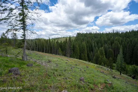 1213 Trapper Loop, Saint Maries, ID 83861 photo 2