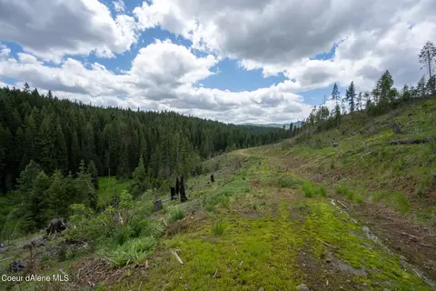 1213 Trapper Loop, Saint Maries, ID 83861 photo 18