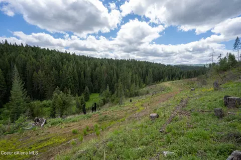 1213 Trapper Loop, Saint Maries, ID 83861 photo 4