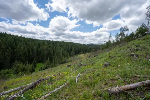 1213 Trapper Loop, Saint Maries, ID 83861 photo 19