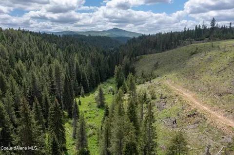 1213 Trapper Loop, Saint Maries, ID 83861 photo 8