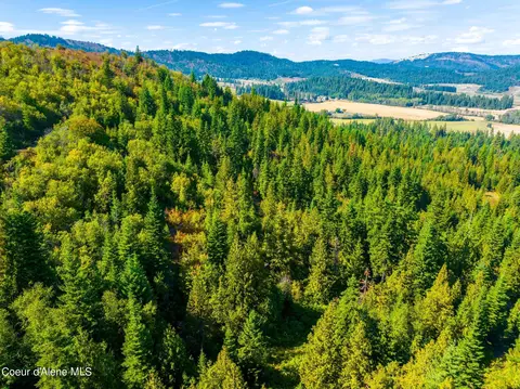 2 Agency Road, Plummer, ID 83851 photo 4