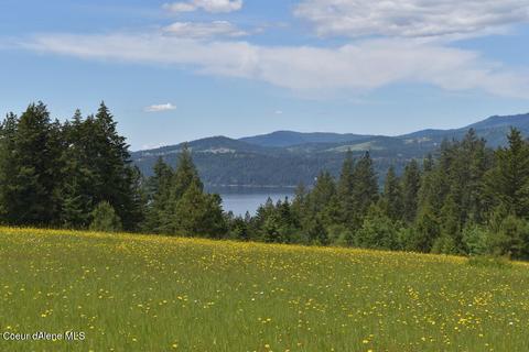 Nka Badger Rd, Harrison, ID 83833