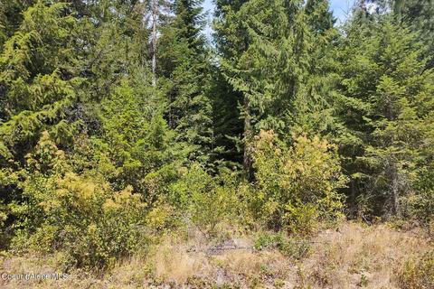 1111 E Settlement Rd, Priest River, ID 83856 photo 10