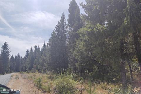 1111 E Settlement Rd, Priest River, ID 83856 photo 3