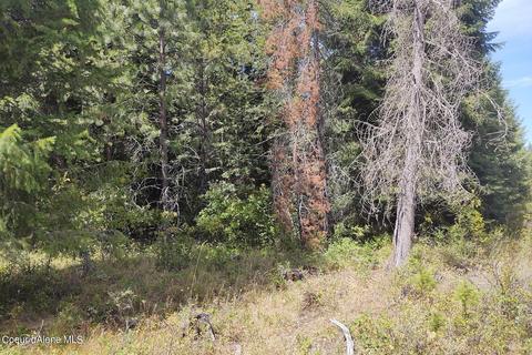 1111 E Settlement Rd, Priest River, ID 83856 photo 5