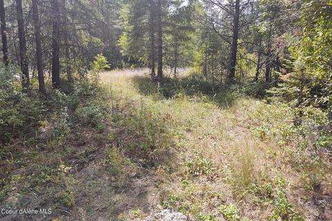 1111 E Settlement Rd, Priest River, ID 83856 photo 14