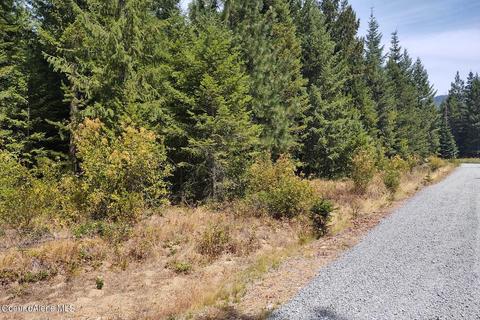 1111 E Settlement Rd, Priest River, ID 83856 photo 7