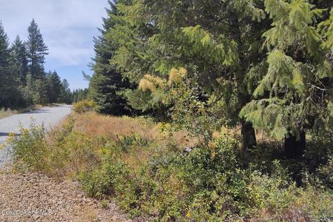 1111 E Settlement Rd, Priest River, ID 83856 photo 6