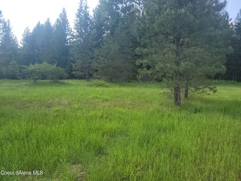 Nna Lightning Creek, Clark Fork, ID 83811
