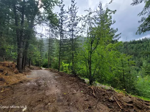 Nka Downs St, Wardner, ID 83837 photo 3