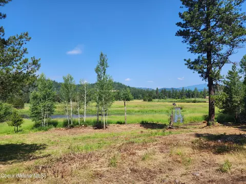 Nka E 43.59 Acres Dudley Rd, Cataldo, ID 83810