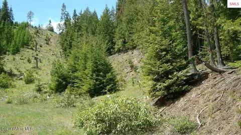 40 Ac Mosquito Creek Rd, Clark Fork, ID 83811