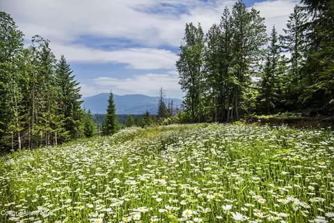 Nna Ruby Creek Rd, Naples, ID 83847 photo 31