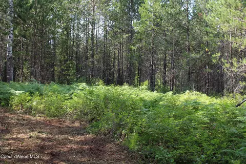 Nna Geronimo Lane, Sandpoint, ID 83864