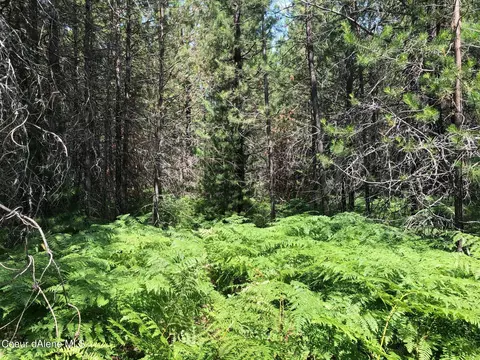 Nna Bowen Arrow Road, Sandpoint, ID 83864