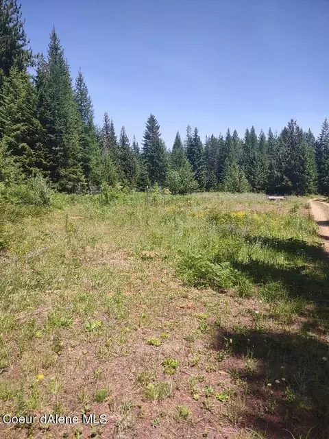 901 Morris Rd, Naples, ID 83847 photo 48