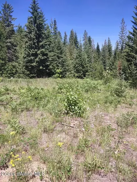 901 Morris Rd, Naples, ID 83847 photo 49