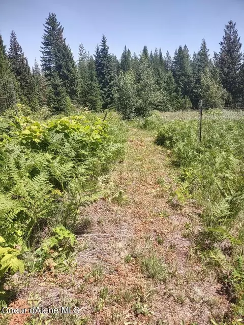 901 Morris Rd, Naples, ID 83847 photo 47