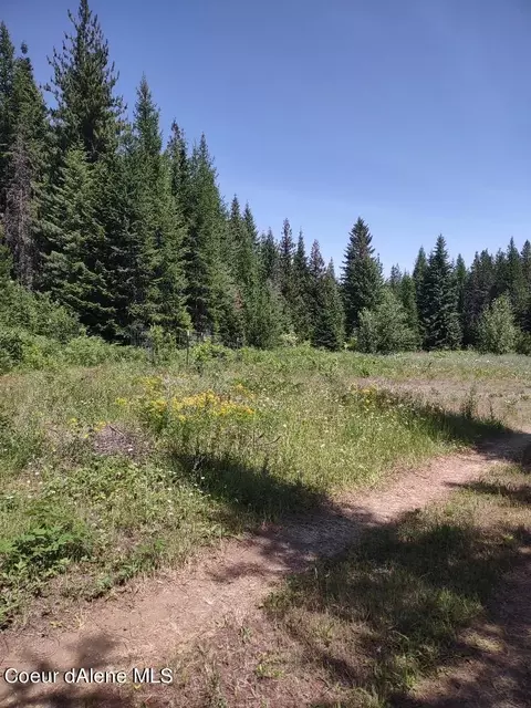 901 Morris Rd, Naples, ID 83847 photo 46