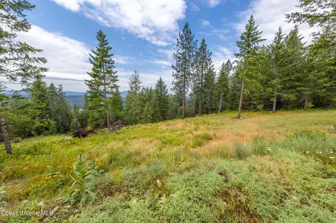 369 Elk Ridge Rd, Athol, ID 83801 photo 7