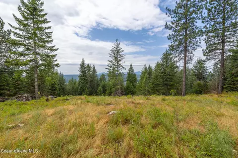 369 Elk Ridge Rd, Athol, ID 83801 photo 11