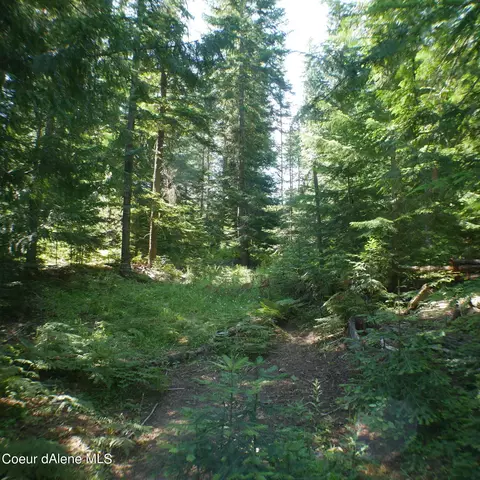 Gold Ridge Road, Saint Maries, ID 83861